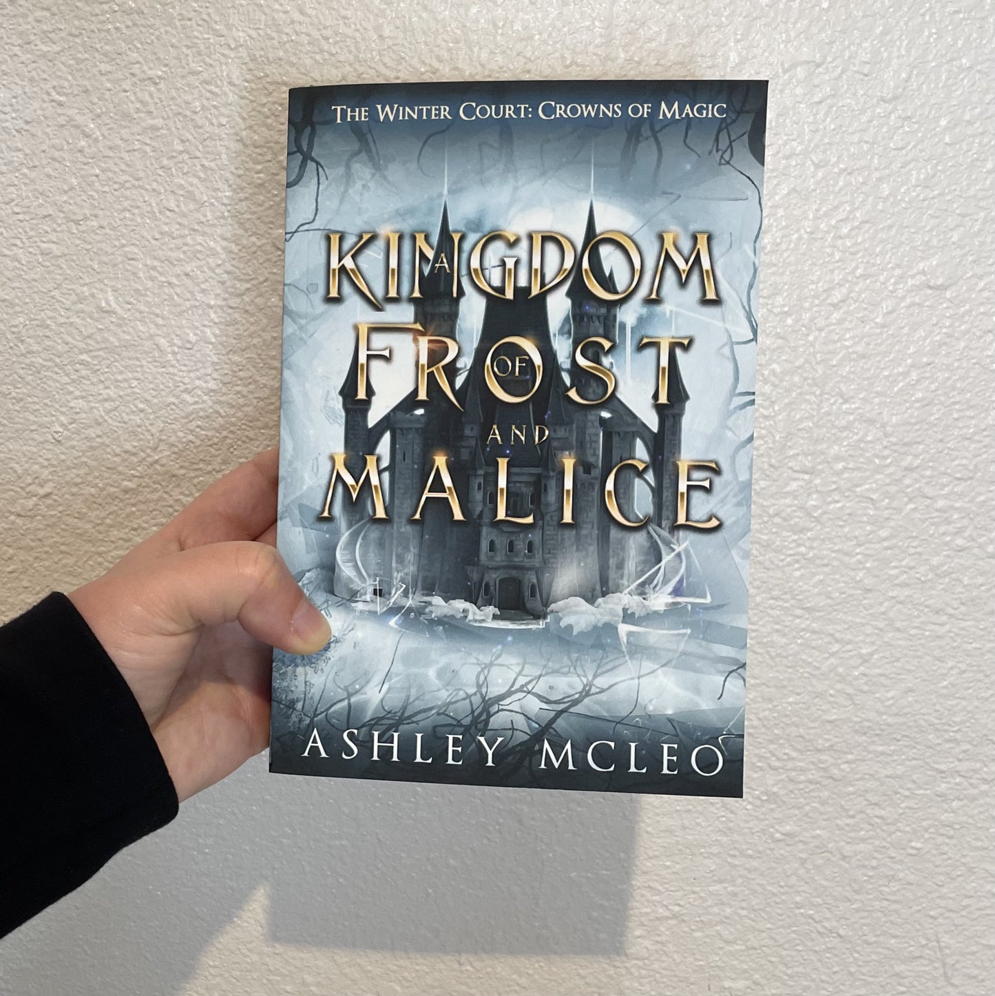 A Kingdom of Frost and Malice, The Winter Court Series #1, Crowns of Magic Universe