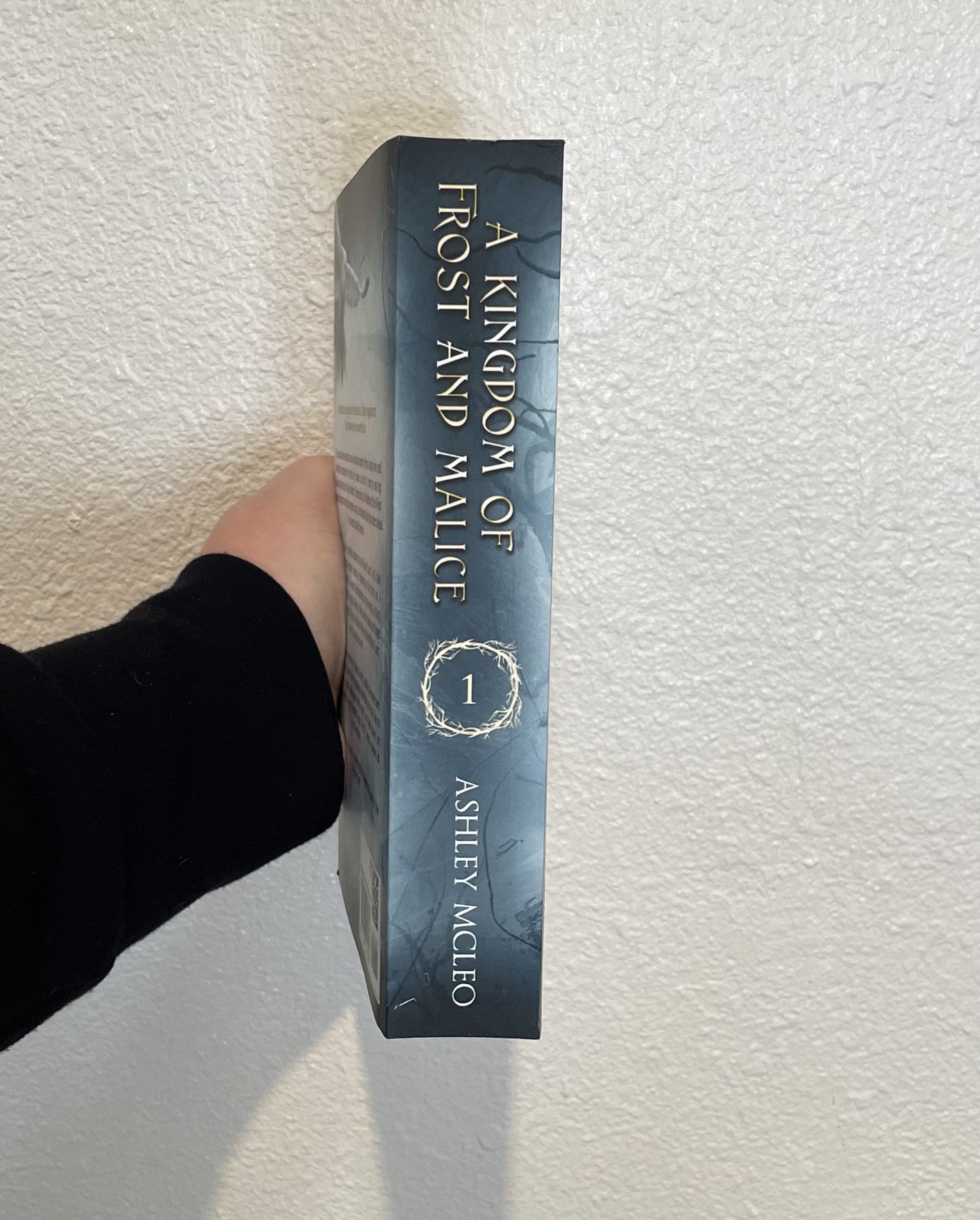 A Kingdom of Frost and Malice, The Winter Court Series #1, Crowns of Magic Universe