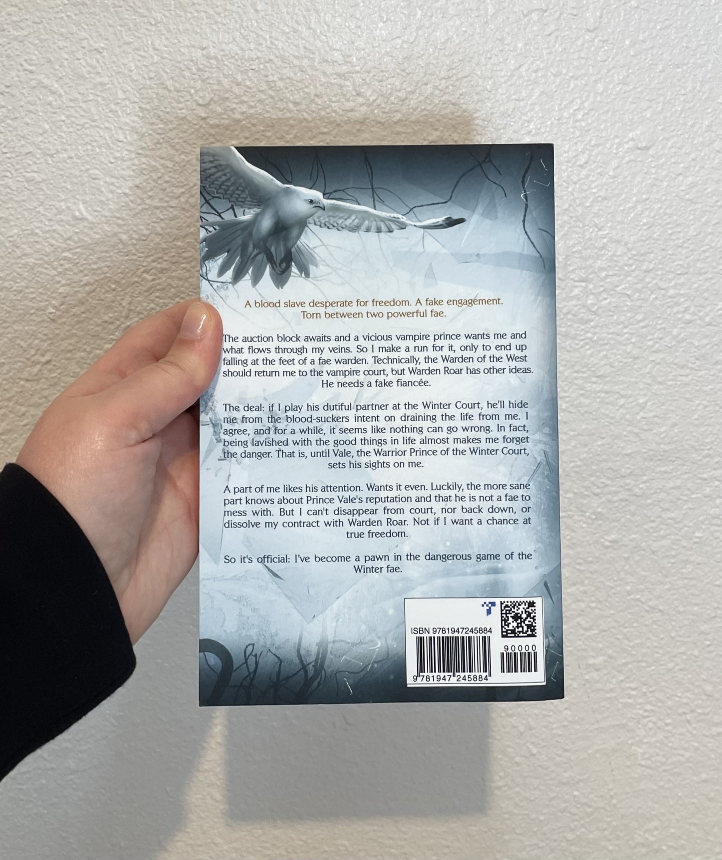 A Kingdom of Frost and Malice, The Winter Court Series #1, Crowns of Magic Universe