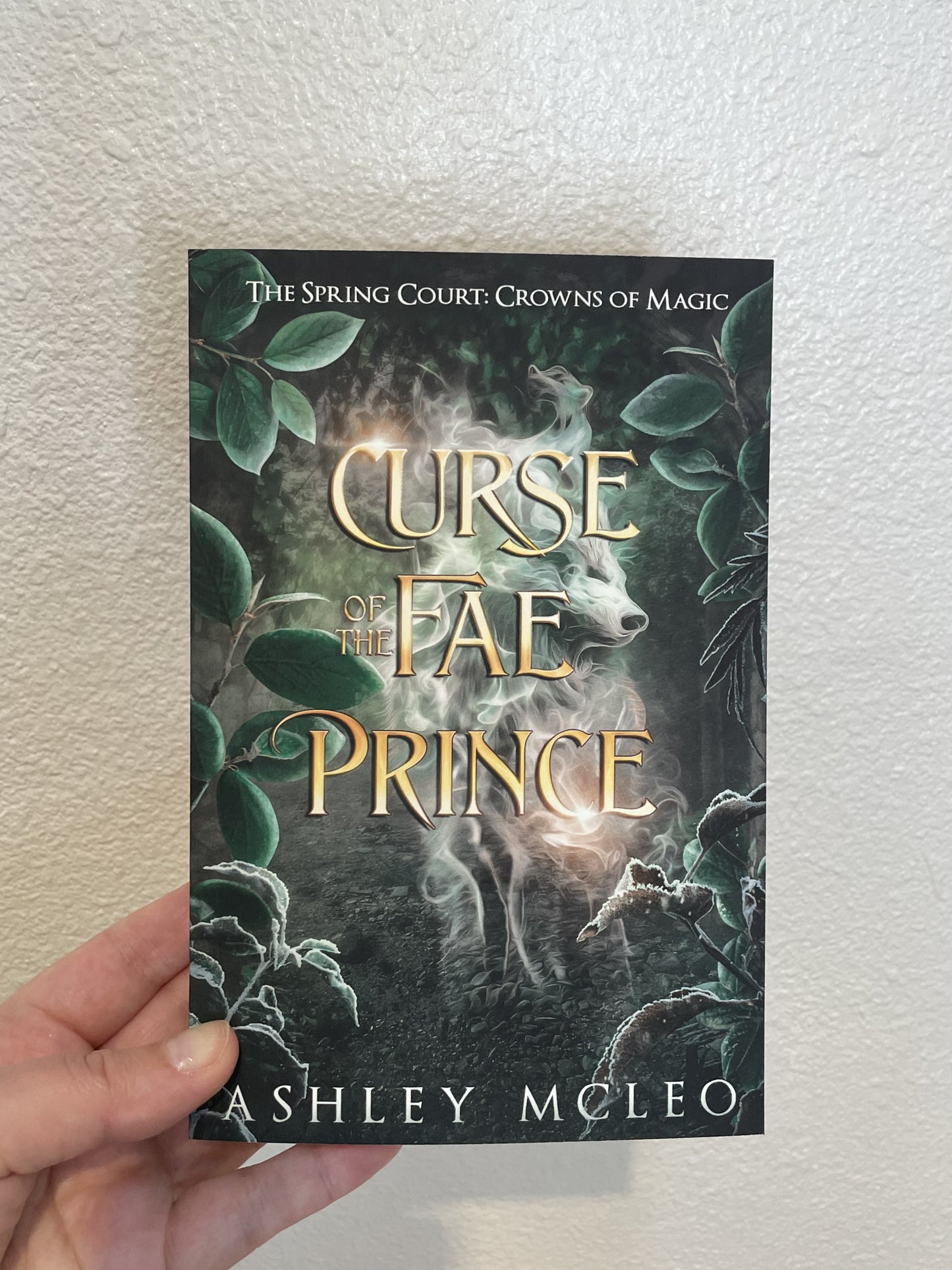 Curse of the Fae Prince, A Standalone Novel, Crowns of Magic Universe