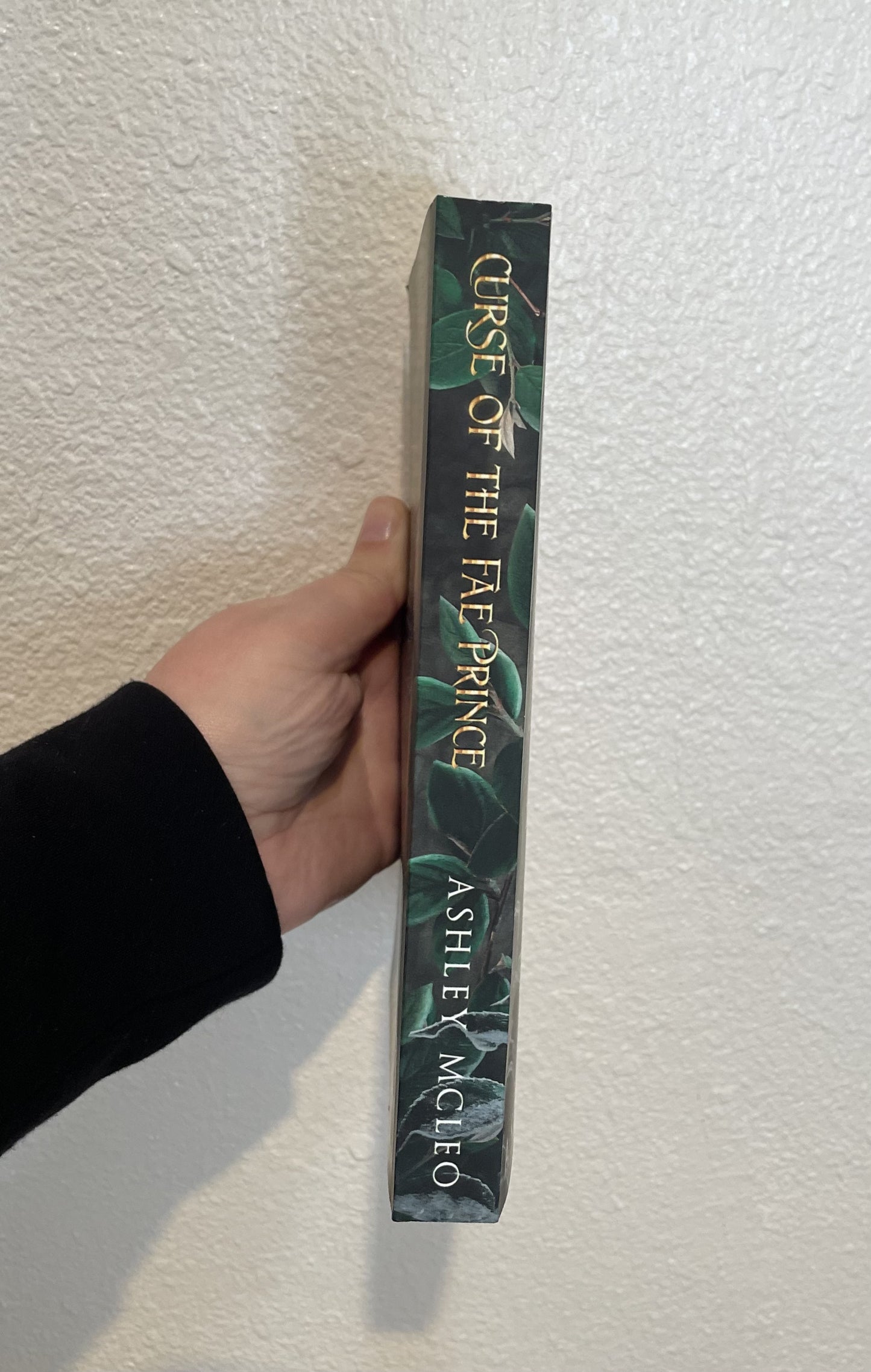 Curse of the Fae Prince, A Standalone Novel, Crowns of Magic Universe